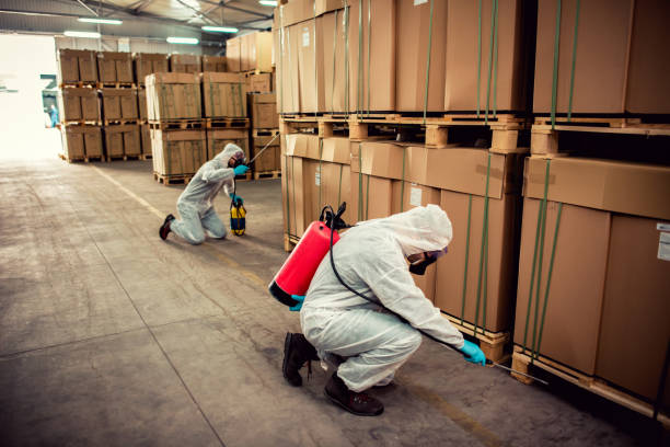 Trusted Elwood, NY Pest Control Experts