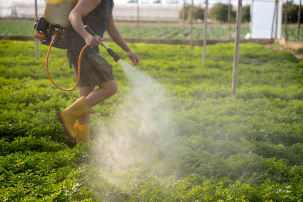 Best Commercial Pest Control Services  in Elwood, NY