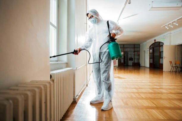 Professional Pest Control in Elwood, NY